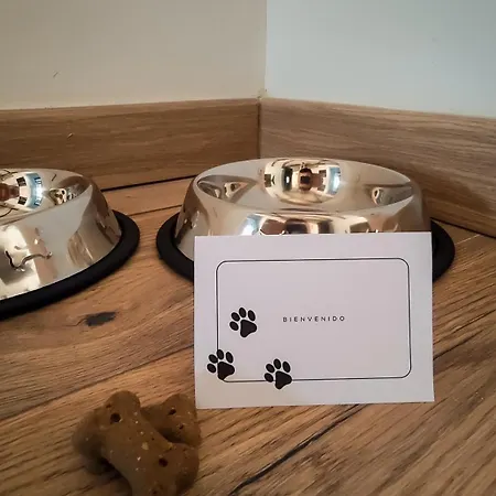 La Viga Del Queso - Centrico - Wifi - Vut-2787-as * 기욘